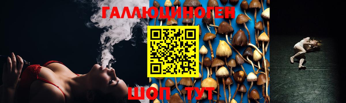 Псилоцибиновые грибы мицелий  Псилоцибиновые грибы Psilocybine cubensis  Вход с VPN  Всеволожск 
